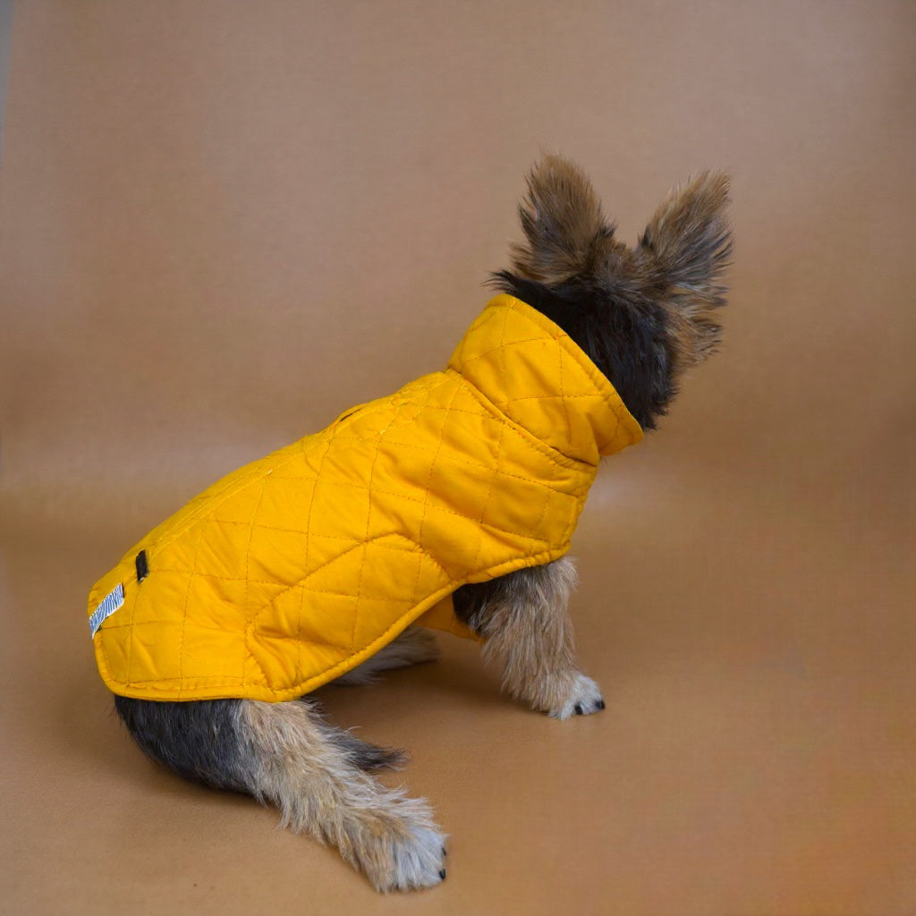 Gabardina Mostaza y negra