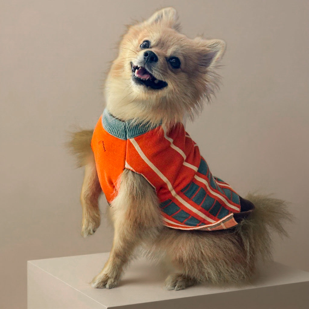 Suéter Lineas Naranja